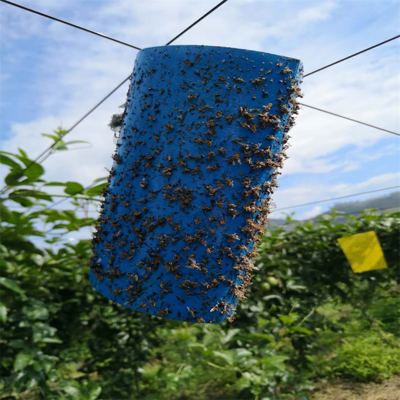 蓝色粘虫板（治蓟马）